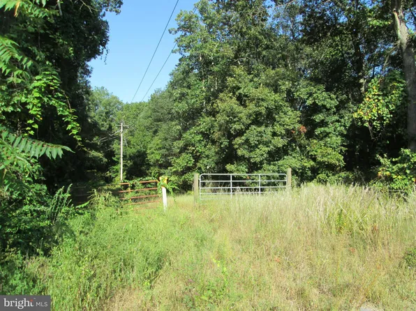 Bk Off Brooklyn Avenue Ext, Federalsburg, MD 21632