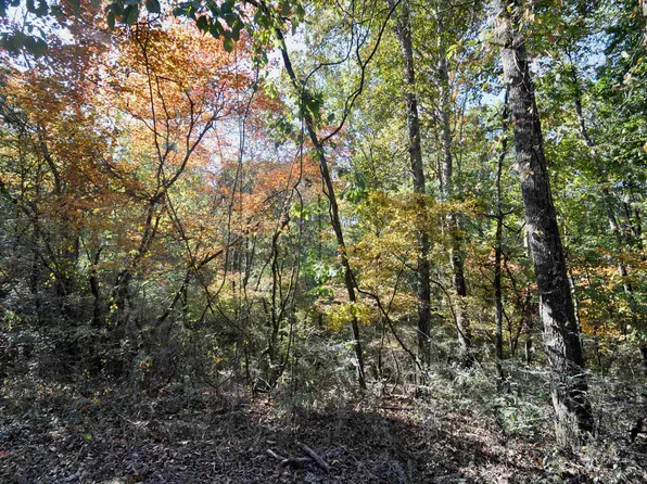 0 County Road 1389, Vinemont, AL 35179