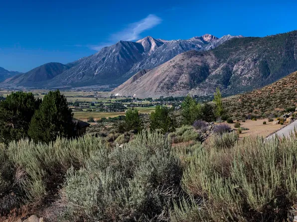 275 James Canyon Loop, Genoa, NV 89411
