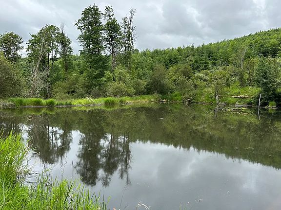 4th image of 0 Goble Rd