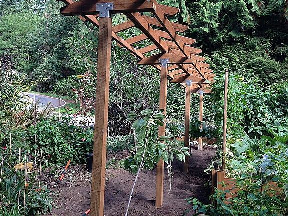 2015 Fruit Espalier added