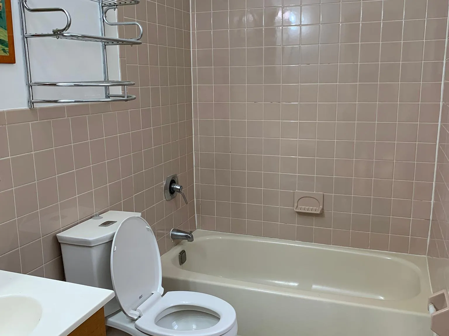 4 bed, 1100 sqft, $4,100 — Photo 4