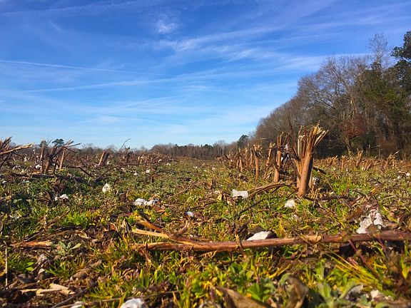 Tillable acreage offers income for a steady annual cashflow