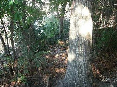 2nd image of Gulf Hwy