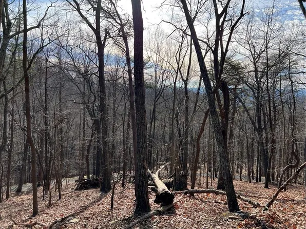 4528 Sassafras Mountain Trl #4528, Jasper, GA 30143