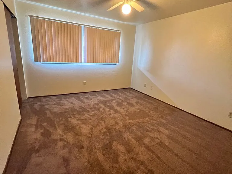 1305 Haven Ln — Photo 9