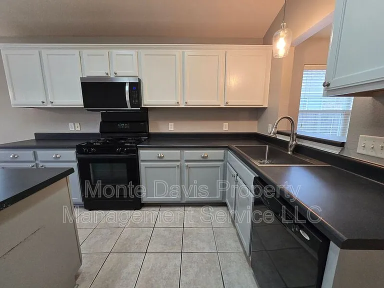 14309 Ballycastle Trl — Photo 6