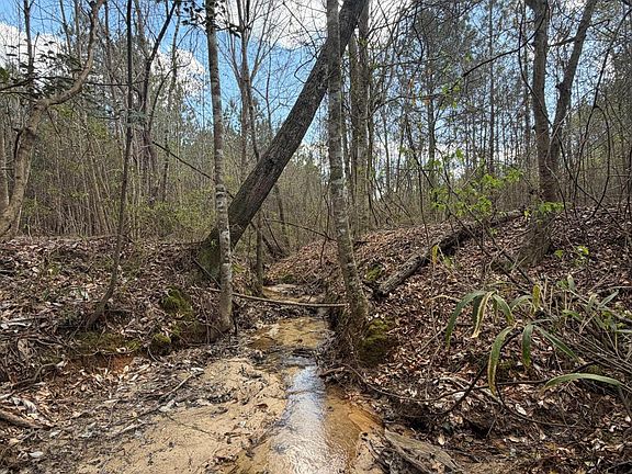 3rd image of Fairchild Rd