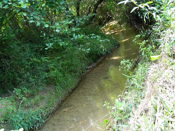 4th image of Ledford Lane