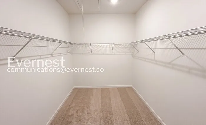 29447 Satilla Cir — Photo 22