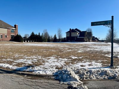 9093 Big Sable Point LOT 25, Frankfort, IL, 60423