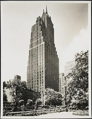 Rented by SKNY | media 18