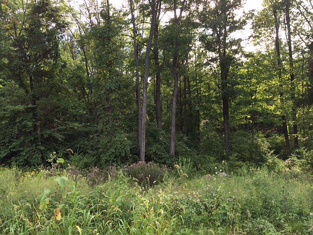 1st image of 10 Oakbrook Ln