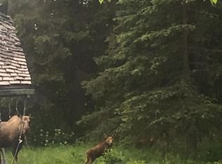 37141 Rafie St, Soldotna, AK 99669