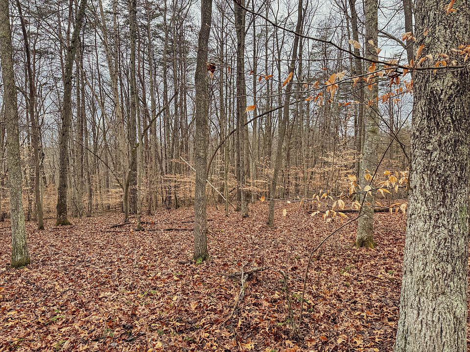 0 Spruce Fork Rd Buckhannon WV Zillow