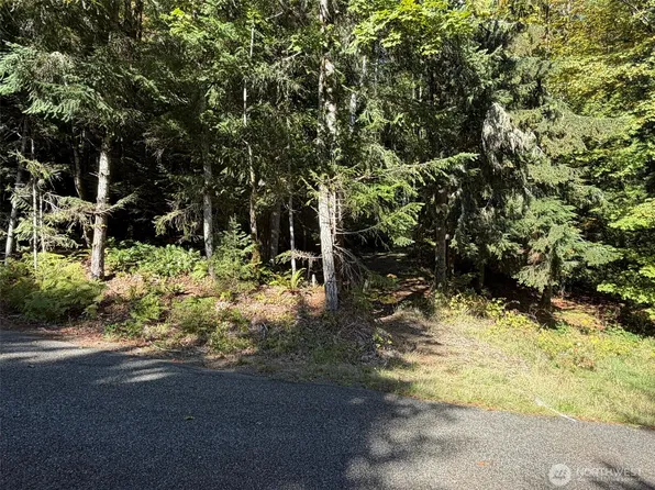 420 Arabian Drive, Brinnon, WA 98320