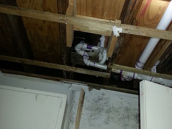 4th image of 1566 Newton St