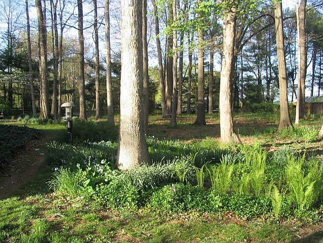 Rear of property