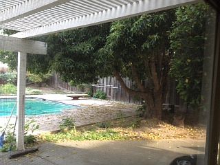 2nd image of 900 Cheyenne Dr