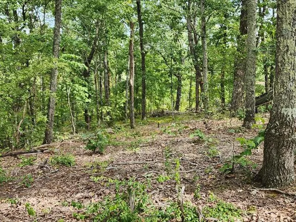 89 Chinkapin Rd, Holladay, TN 38341