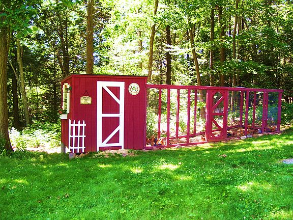 Chicken shed and run.