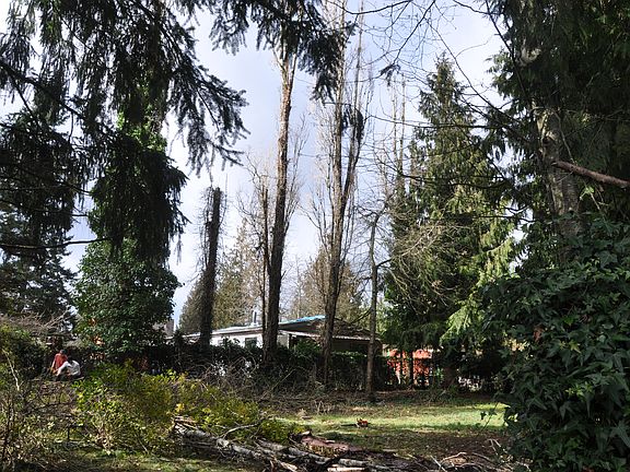 2nd image of 20916 93rd St E