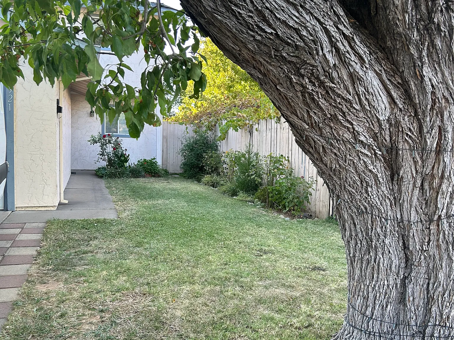 3 bed, 1.5 bath, 1067 sqft, $2,600 — Photo 3