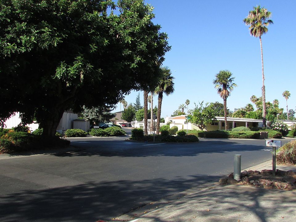 1st image of 6 Palm Dr
