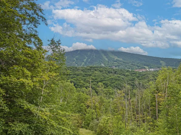 F2 Cobble Ridge Road #F2, Winhall, VT 05340