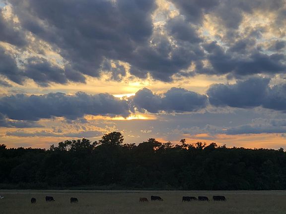 The view from the front door!