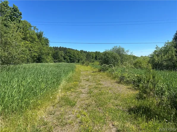 Warner Hill Rd Lot 10, Wales Center, NY 14169
