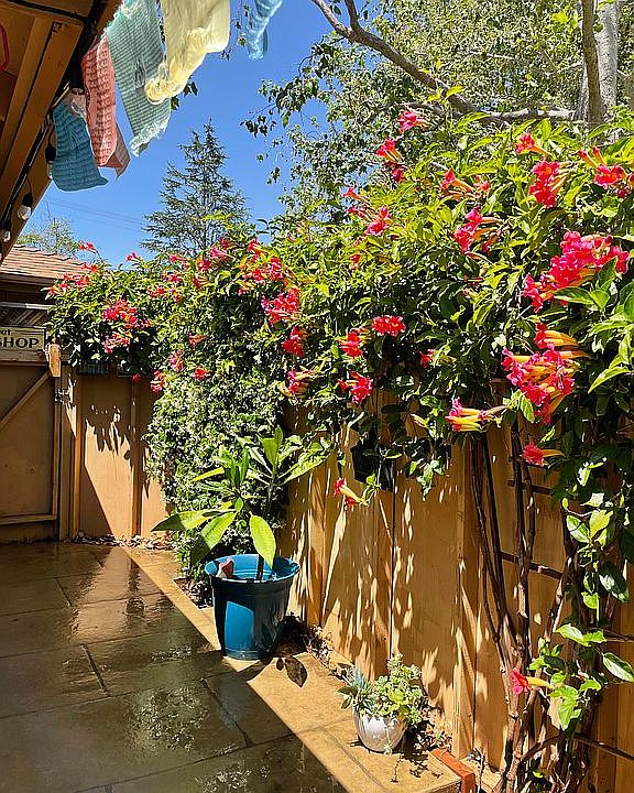 Private beautiful patios 