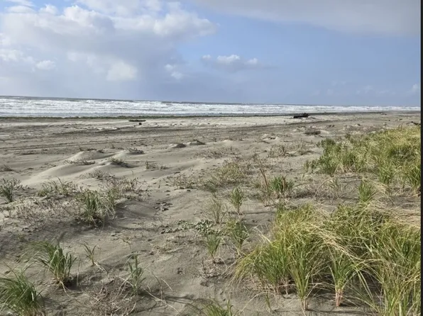 4717 State Route 105 S, Grayland, WA 98547