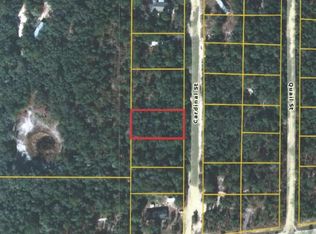 7204 Cardinal St, Florahome, FL 32140