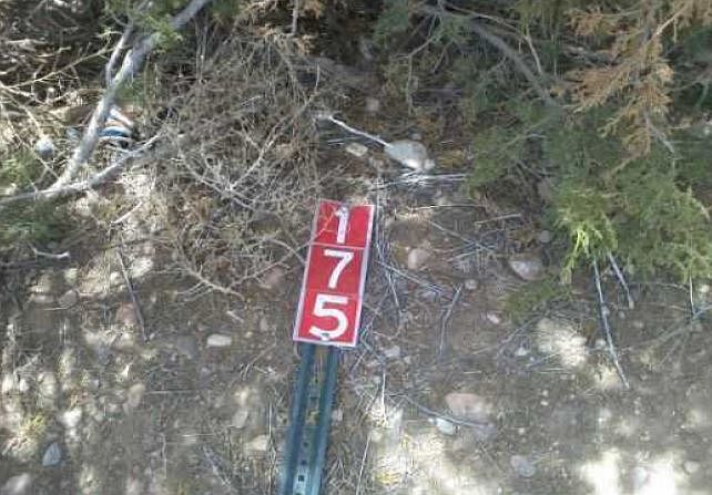 2nd image of 175 Sunrise Rd