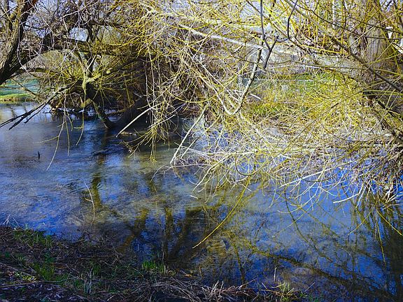Spring Creek charm