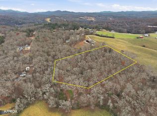 Ada St, Blue Ridge, GA 30513