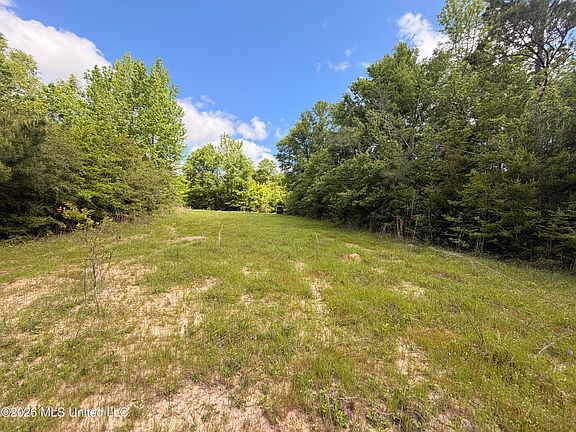 2nd image of 93 Hammond Rd