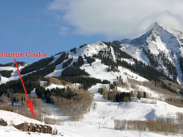 51 Whetstone Road #2306, Mt. Crested Butte, CO 81225