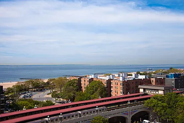 Rented by Bold New York