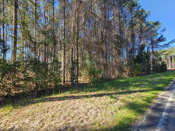 Riley Rd Lot 5, Saint Matthews, SC 29135