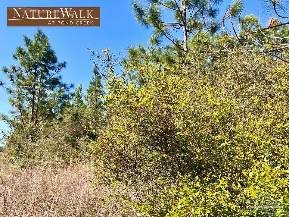 1st image of LOT 31 Pine Preserve Ln