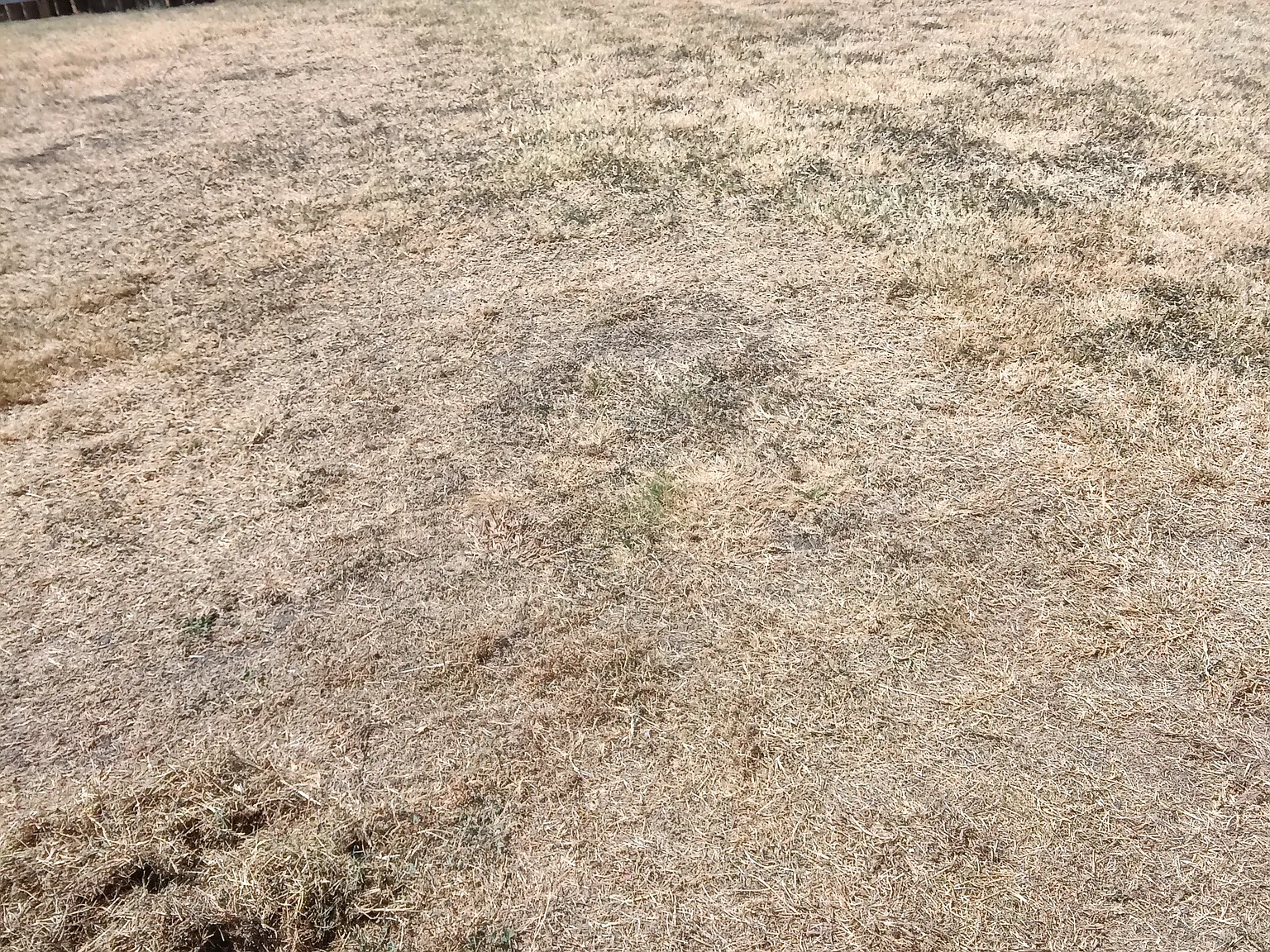 Westwood Dr, Killeen — Photo 4
