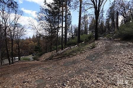 4th image of 11260 Loch Lomond Road