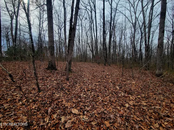 E Cove Rd, Monterey, TN 38574