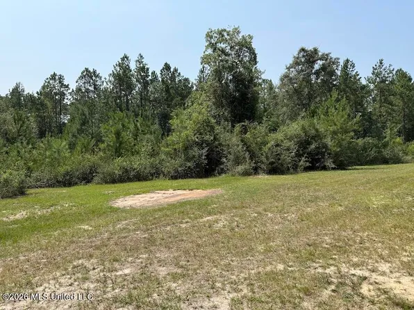 Roy Oneal Rd, Perkinston, MS 39573
