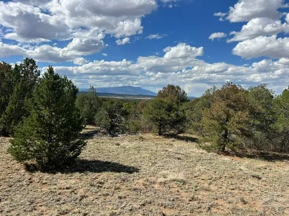 96 River Ridge Trl, Walsenburg, CO 81089