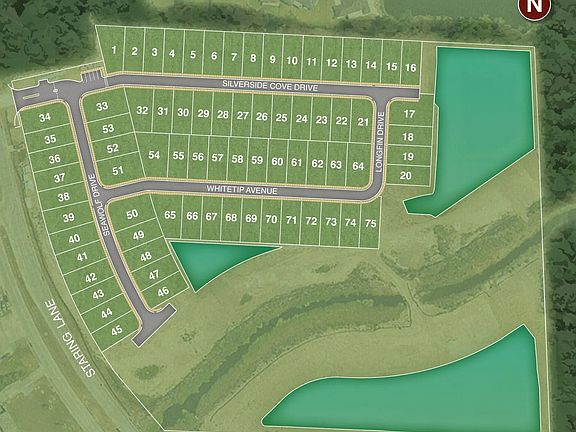 5th image of 7621 Whitetip Ave