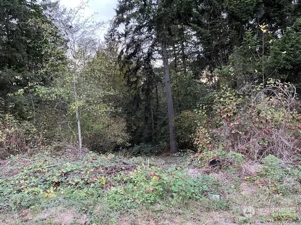 30416 59th Avenue E, Roy, WA 98580