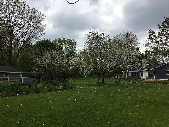 Apple trees